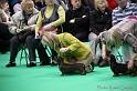 Crufts2011_2 1276